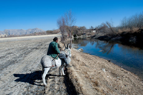 براآن؛ دشتی با چهار سهم از آب زنده رود